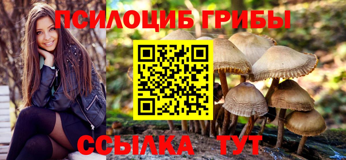 Галлюциногенные грибы Psilocybine cubensis  Вход с VPN  Ревда 